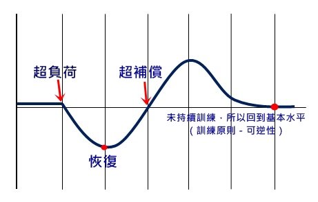 训练不做白工:搞懂超负荷与超补偿-唤醒运动