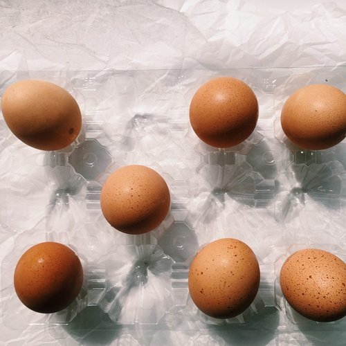 吃腻水煮蛋?尝试电锅溏心蛋-唤醒运动