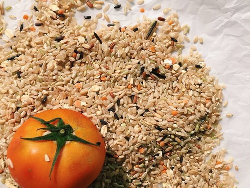 简单料理—电锅香肠番茄饭-唤醒运动