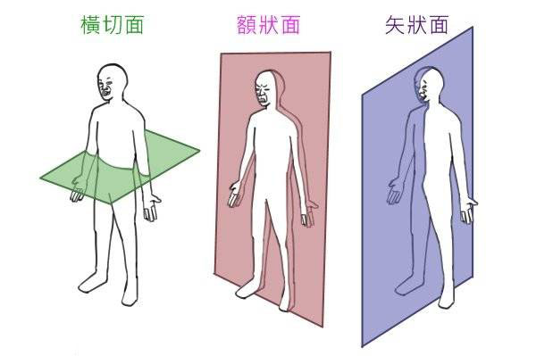 为你的核心训练增加“方向”-唤醒运动