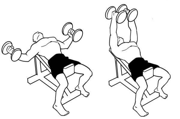 训练结实饱满的胸肌—哑铃飞鸟-唤醒运动