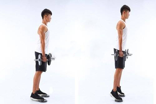 4种基础重训,提升有氧运动成效!-唤醒运动