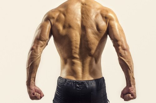 4动作 克服背肌感受问题-唤醒运动