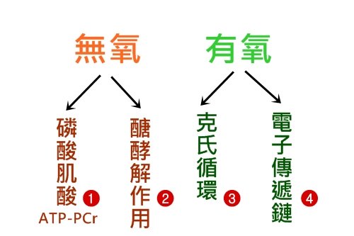 揭开“金字塔训练法”的神秘面纱(一)-唤醒运动