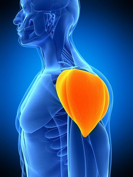 如何拯救处于贫弱的肩部肌肉-唤醒运动