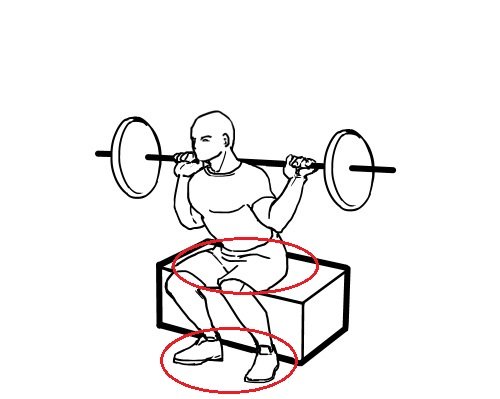 让深蹲更完美!箱式深蹲(Box Squat)-唤醒运动