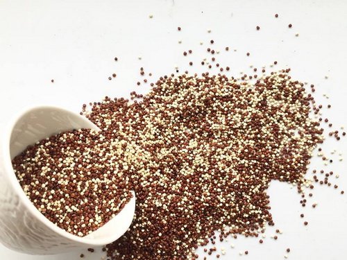 11705132_10155759003230484_3407130382351852731_n