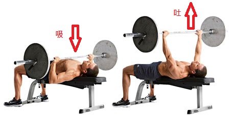flat-barbell-bench-press (1)