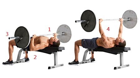 flat-barbell-bench-press